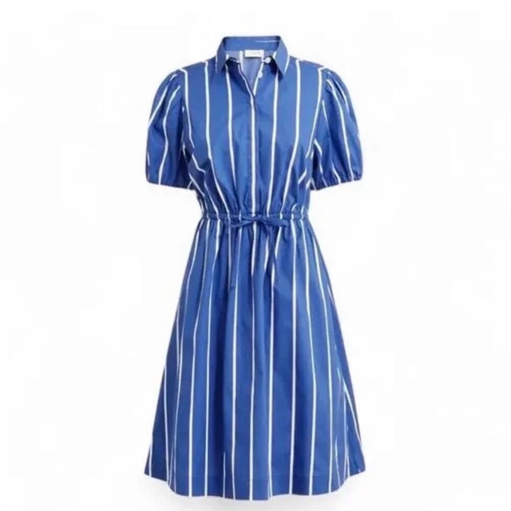 J. Crew Blue and White Striped Midi Dress